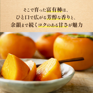 富有柿〈家庭用〉 約4kg（S～Lサイズ混載）  |  先行予約 大人気 人気 富有 柿 かき フルーツ 果物 辰巳果樹園 ギフト おすすめ 10月 11月 発送 カキ 秋の味覚 旬 甘い 大容量 農