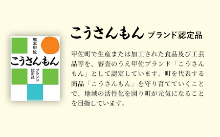 【甲佐ブランド】 うなぎ 蒲焼き 1尾 【こうさんもん認定商品】熊本産 国産 150ｇ以上