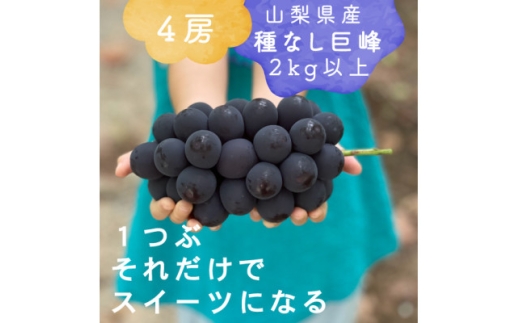 ＜2026年発送分先行受付＞巨峰ぶどう(種なし) 2kg 以上 産地直送 山梨県山梨市牧丘産【1535988】