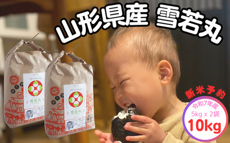 生産者の顔が見える米　雪若丸　白米　10kg（飯豊町産）(R7年産）【価格改定】