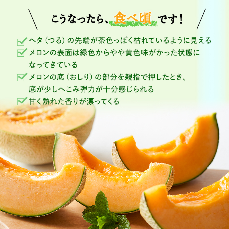 メロン ふらの 赤肉メロン LLサイズ 約2kg 2玉 糖度限界突破 セット めろん 果物 フルーツ デザート くだもの 旬の果物 旬のフルーツ 2025年発送 北海道 富良野 上富良野町_イメージ4
