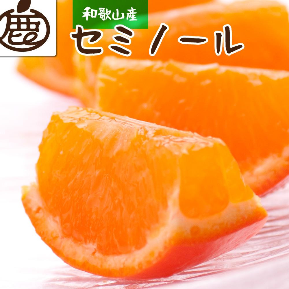 
            ＜4月より発送＞ 厳選 セミノールオレンジ 2.5kg+75g（傷み補償分） 有田の春みかん 有田産 光センサー食べ頃出荷 ［IKE153］
          