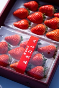 先行予約 化粧箱入り 宇城市産 あまおとめ 約600g（約300g×2パック）【NAGATA FARM】【2025年1月上旬～3月下旬発送予定】合計600g 果物 くだもの フルーツ 果実 苺 いちご