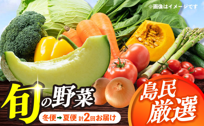 【8月～10月先行受付】【冬季初回発送】小値賀島で育った新鮮野菜おまかせセット　冬季1回・夏季1回お届け [DAB081]