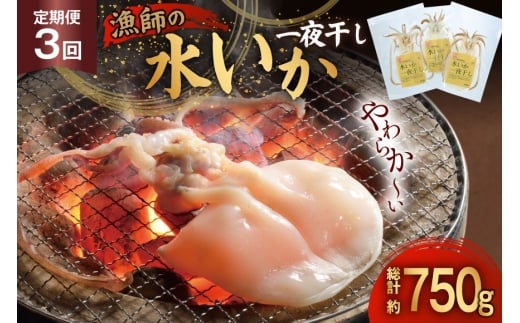 いか 一夜干し 干物  漁師の水烏賊一夜干し 2〜3枚 約250g 3回 定期便 総計750g [中野漁業 長崎県 平戸市 hr42bgy400077] イカ 乾物 水いか 冷凍
