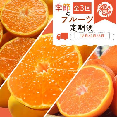 ふるさと納税 日高町 【発送月固定定期便】紀州和歌山産旬のフルーツセット(田村みかん・はるみ・不知火)全3回