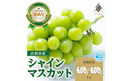 ＜2026年発送＞ シャインマスカット 1房(約500g～600g) ＜訳あり＞【1579990】