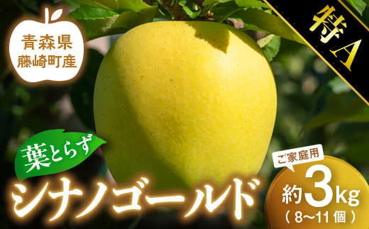 【先行予約】シナノゴールド 特A ご家庭用 約3kg（8～11個）りんご リンゴ 林檎 果物 フルーツ  F41-0027