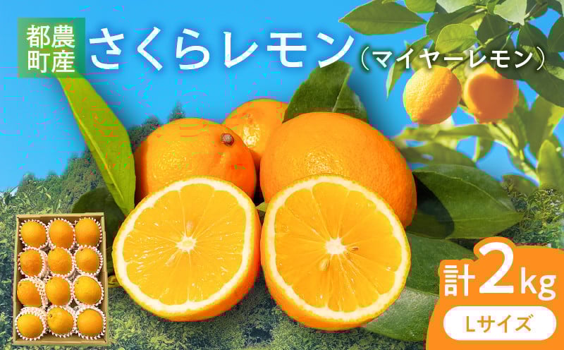 
            先行予約≪期間限定≫都農町産さくらレモン(マイヤーレモン)計2kg フルーツ 果物 柑橘 レモン 国産_T002-003
          