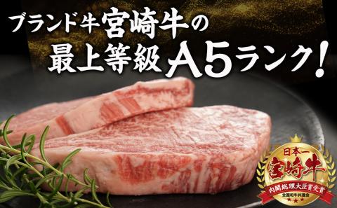 宮崎牛ヒレA5ランク100g×2枚(ステーキ用)_18-7702