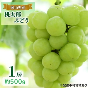 先行予約 晴れの国 岡山のフルーツ 定期便 3回コース 1回目岡山 白桃3玉 合計約600g／2回目桃太郎ぶどう 1房約500g／3回目シャインマスカット 1房約500g