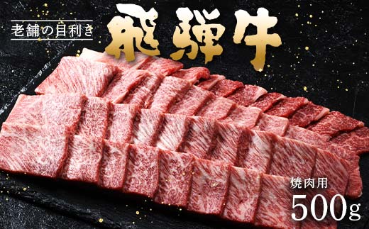 牛肉 飛騨牛 肩ロース肉 焼肉用 500g 牛 肉 肩ロース ロース 焼き肉 赤身 飛騨 F4N-0739