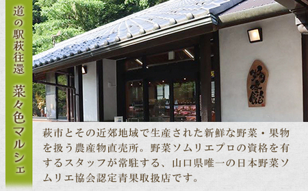 野菜ソムリエプロselect／萩・季節の食材定期便 隔月発送・3回コース