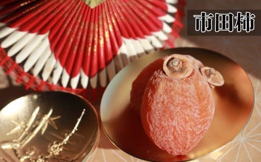 市田柿 800g 寺畑農園 | 柿 かき 干し柿 干しがき 市田柿 国産 特産品 ドライフルーツ 甘い やわらか 果物 フルーツ 信州 南信州 送料無料 ふるさと納税 長野県 飯田市