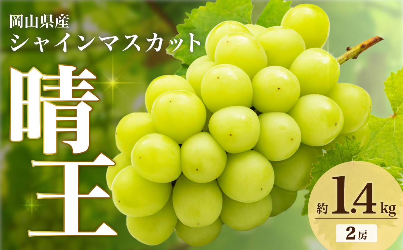 岡山県産 シャインマスカット 晴王 1.4kg【９月上旬～９月下旬発送予定 フルーツ シャインマスカット 晴王 2房 ぶどう 岡山県産 くだもの王国岡山 】