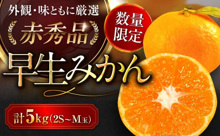 
            【先行予約】【11月中旬から順次発送】 早生みかん 5kg 箱 2S～Mサイズ 50玉～80玉 赤秀 期間限定 数量限定 みかん 愛媛みかん 柑橘 果物 フルーツ みかんジュース ミカン 早生みかん 愛媛県大洲市/愛媛たいき農業協同組合[AGAO005]
          