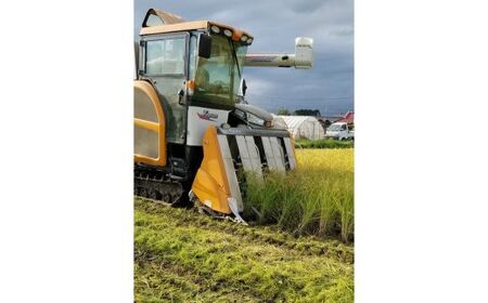 米粉麺 10袋（フェットチーネ、うどん各5袋）｜麺 家庭用 グルテンフリー 小麦粉不使用 こしひかり 米 こめ 名水百選 産地直送 期間限定 栃木県 塩谷町 ※2025年12月上旬～2026年5月下旬