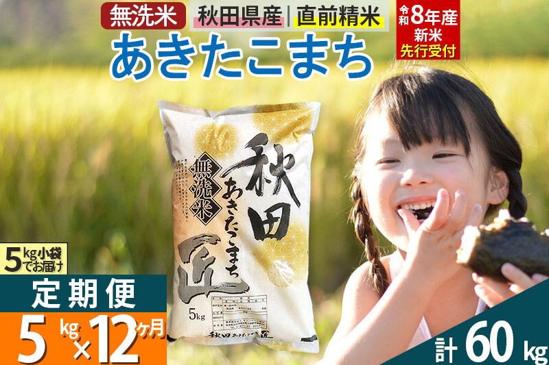 【無洗米】＜令和8年産 新米予約＞《定期便12ヶ月》秋田県産 あきたこまち 5kg (5kg×1袋) ×12回 5キロ お米 匠  [サンファーム西木 米5kg 米 5kg 米　5kg定期便 お米定期
