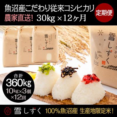ふるさと納税 十日町市 【毎月定期便】魚沼産こだわり従来コシヒカリ30kg(10kg×3袋)×12回 合計360kg全12回
