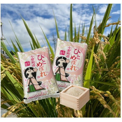 【ふるさと納税】令和6年産福島県小野町産ひとめぼれ10kg(5kg×2袋)精米【1629174】