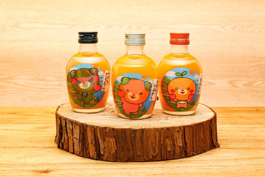 
            みかんジュースセットＢ 200ml×12本 ※北海道、沖縄・離島への配送不可 【 ふるさと納税 人気 おすすめ ランキング 飲料 飲み物 ソフトドリンク 果物 フルーツ 柑橘 ミカン 国産 ミカンジュース みかんジュース ギフト おすそ分け お土産 贈り物 プレゼント 愛媛県 伊方町 送料無料 】 IKTI019 
          