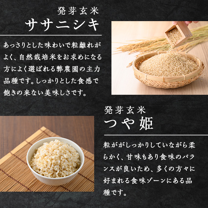 発芽玄米パックご飯3種セット 150g×17パック 金のいぶき つや姫 ササニシキ 発芽玄米 黒米 発芽玄米 レンジ 有機栽培 パックライス ご飯 米 レンチン 【有機農園ファーミン株式会社】 tm1