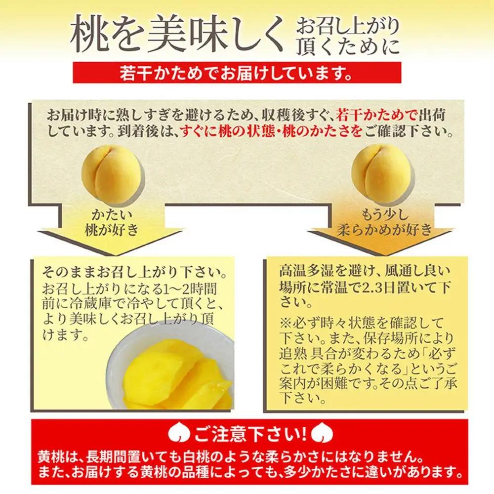 もも ( 黄貴妃 ) 3kg フルーツ 果物 山形 黄桃 モモ