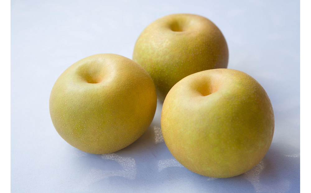 【先行受付】くれは梨　5kg箱