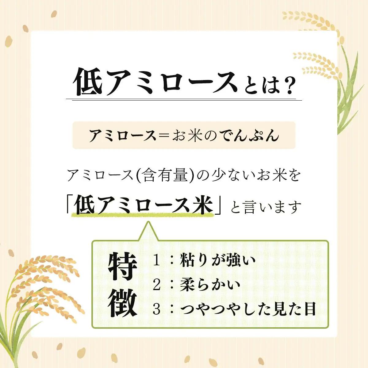 令和7年産 北海道岩見沢市産 あやひめ玄米 10kg ≪沖縄・離島配送不可≫ a124-037-R7