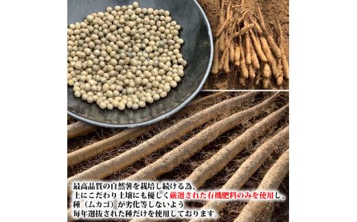 074-7 丁子屋が選んだ 自然薯 台地のご馳走 600 g 〜650 g 新鮮 健康 長寿 とろろ 静岡県 牧之原市 ヤマゴ増田製茶