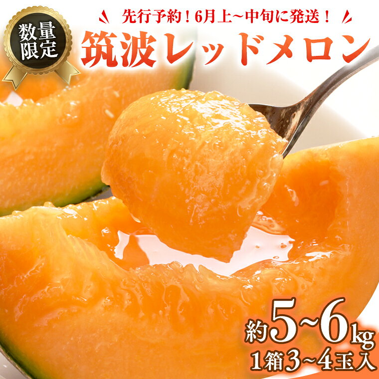 【ふるさと納税】筑波レッドメロン 1箱 3玉 ～ 4玉 入り（ 約 5kg ～ 6kg ）【2027年6月上旬以降発送】 赤肉　数量限定 メロン レッド 赤肉 甘い 期間限定 産地直送 果物 フルーツ 2027 2027年発送 2027年先行受付 2027年