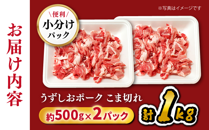 【使い勝手◎】長崎うずしおポーク こま切れ 計1kg（500g×2P）＜スーパーウエスト＞ [CAG310] 豚肉 国産 SPF豚