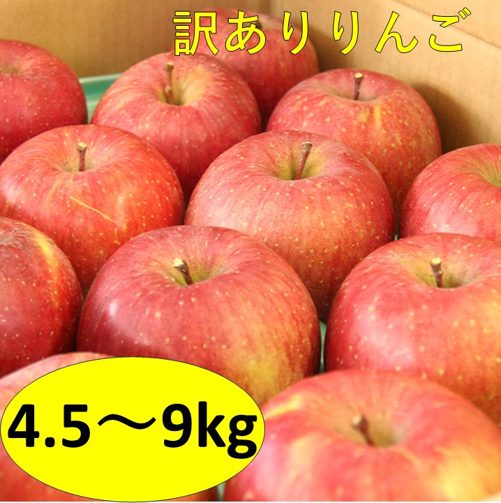 
【訳あり】サンふじりんご　4.5～9kg
