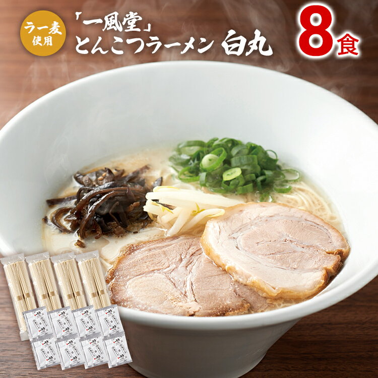 【ふるさと納税】ラー麦使用「一風堂」とんこつラーメン 白丸(8食) 豚骨ラーメン ストレート麺 お取り寄せグルメ お取り寄せ 福岡 お土産 九州 ご当地グルメ 福岡土産 取り寄せ グルメ 福岡県 食品