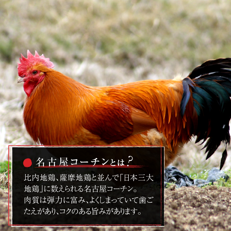 名古屋コーチン親子丼の素4食セット［004O07］_イメージ4