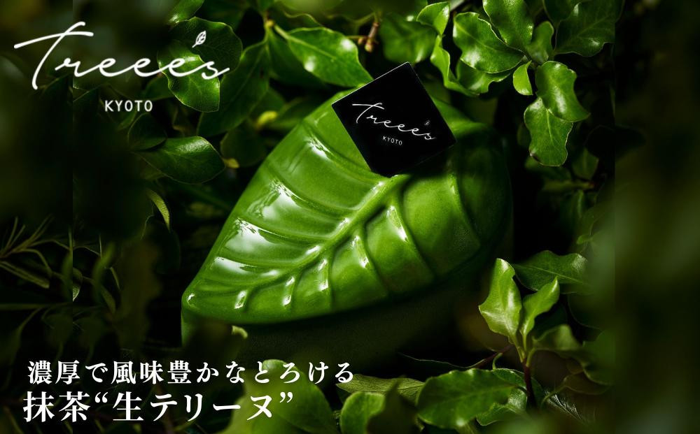 【TREEE’S】抹茶テリーフ｜京都 スイーツ ブランド 人気 抹茶スイーツ [ 抹茶生テリーヌ リーフ型チョコテリーヌ ワインソムリエが作るチョコレート オーガニック グルメ おすすめ 贅沢 ご褒美
