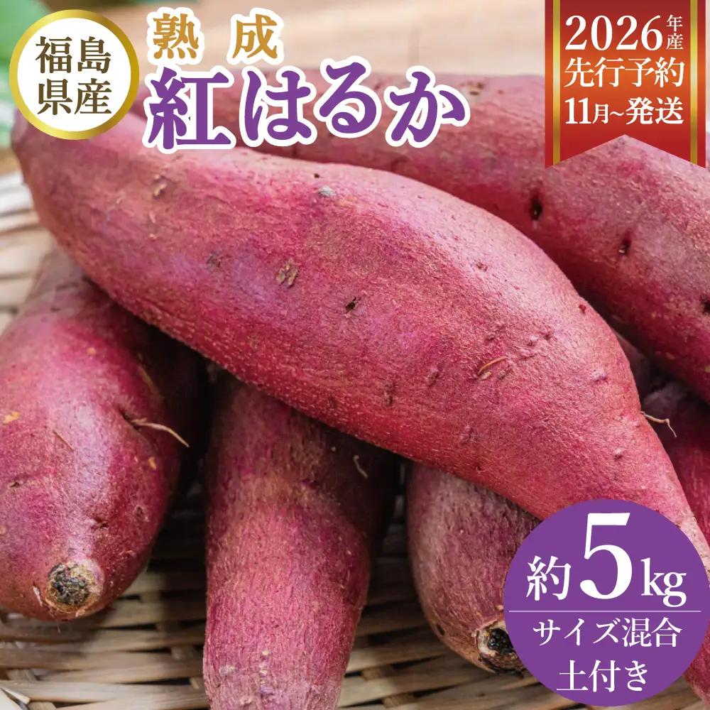 福島県産 熟成 紅はるか さつまいも 5kg 令和8年産 ＜2026年11月以降順次発送＞ 新地町