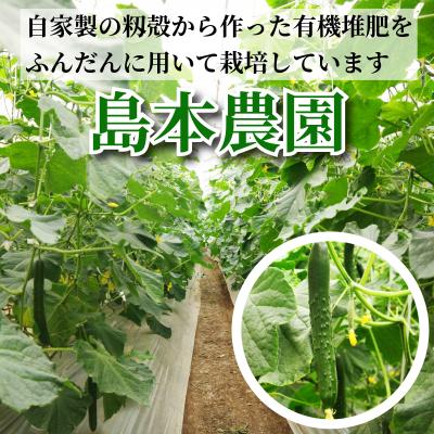 ふるさと納税 小松島市 きゅうり 秀品 5kg以上(54本)新鮮 朝採れ きゅうり 小松島市 野菜 夏野菜 産地直送 5kg |  | 01
