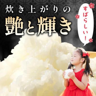 ふるさと納税 浜田市 【毎月定期便】特別栽培米「匠のつや姫」　10kg(5kg×2袋)全6回 |  | 01