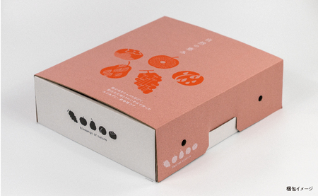 ＜ 先行予約 ＞ りんご 葉取らず ふじ 秀品 約 5kg 13～20玉 【2026年11月下旬から12月下旬発送】 山形県 朝日町産 山形県産 果物 フルーツ リンゴ 林檎 秋 冬