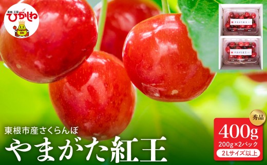 【2027年産】さくらんぼ「やまがた紅王」秀品 400gバラ詰め（200g×2パック） 2Lサイズ以上 山形県 東根市 HIGUMAファーム提供 hi088-018-r9 フルーツ 果物 くだもの クダモノ さくらんぼ サクランボ やまがた紅王 期間限定