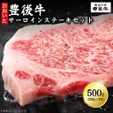 【ふるさと納税】豊後牛 サーロインステーキ セット 500g ( 250g × 2枚 ) 牛肉 肉 お肉 サーロイン ステーキ ギフト プレゼント 贈答 化粧箱入り 国産 九州産 大分県産 D6-S