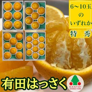 定期便 貯蔵 はっさく ＆ ハウス せとか 特秀 全2回 南泰園 特秀 セット みかん
