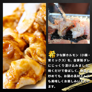 豚肉 やみつきホルモン 塩ダレ 2kg ホルモン ホルモン ホルモン
