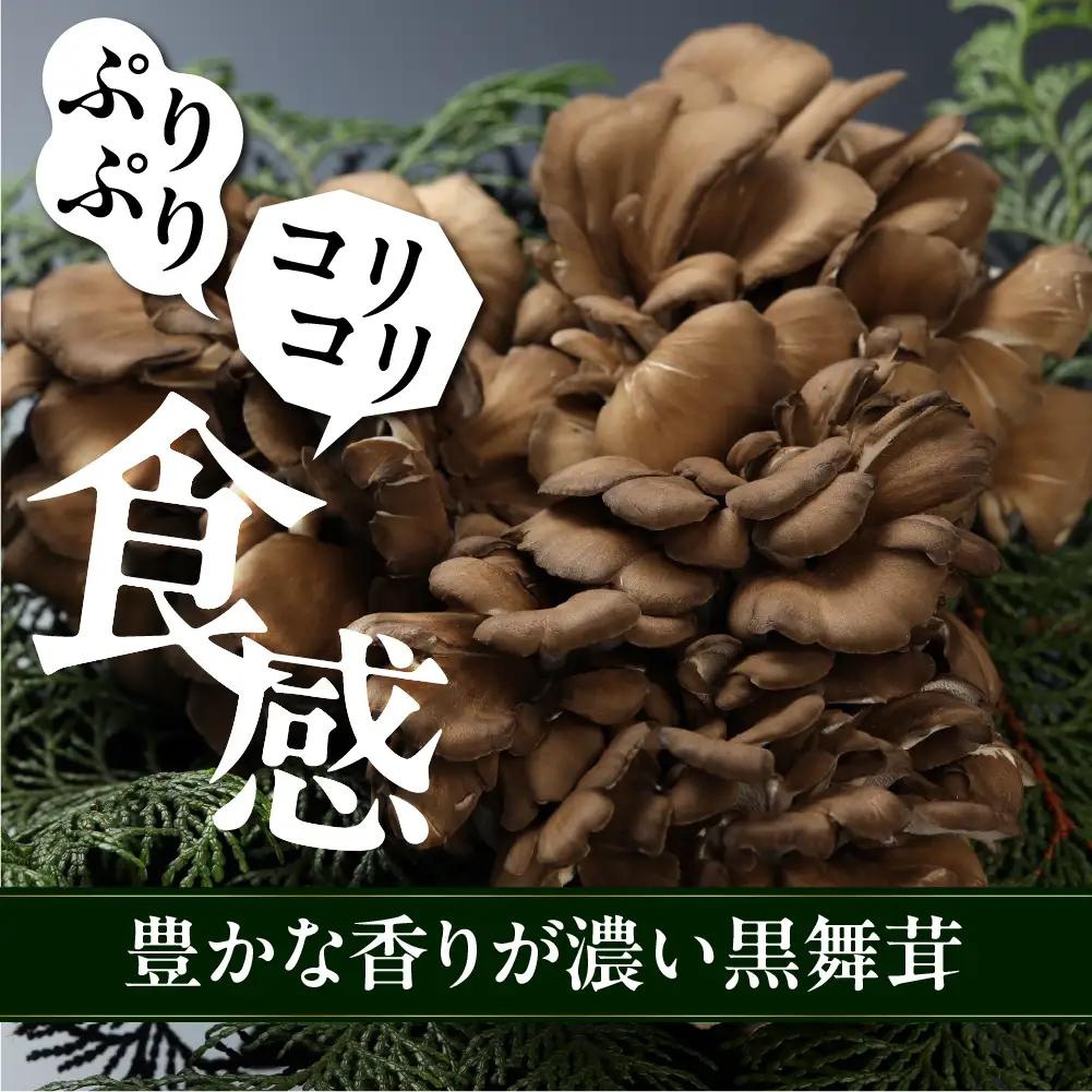 飛騨舞茸と佃煮のセット(飛騨舞茸 600g ・舞茸の佃煮 600g（100g×6袋））【60-1】
