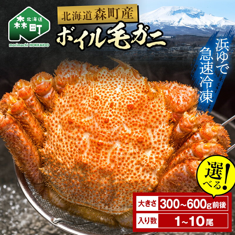 【ふるさと納税】【選べる容量！発送月】【訳あり】毛ガニ 冷凍 ボイル 北海道・噴火湾産 約300g～600g前後 新物 2025年6月～7月水揚げ ＜海鮮問屋　株式会社　瑞宝＞ かに カニ 蟹 がに 森町 北海道 毛蟹 毛がに 毛かに 毛カニ mr1-0994var