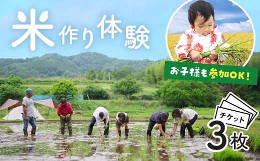 【ふるさと納税】秦野里山米作り体験　イベント3回分チケット｜米作り体験 稲刈り 籾摺り 草取り 収穫 田んぼ 食と農 自然栽培 無農薬 環境保全 里山 景観 体験 癒し ヒーリング 神奈川 秦野