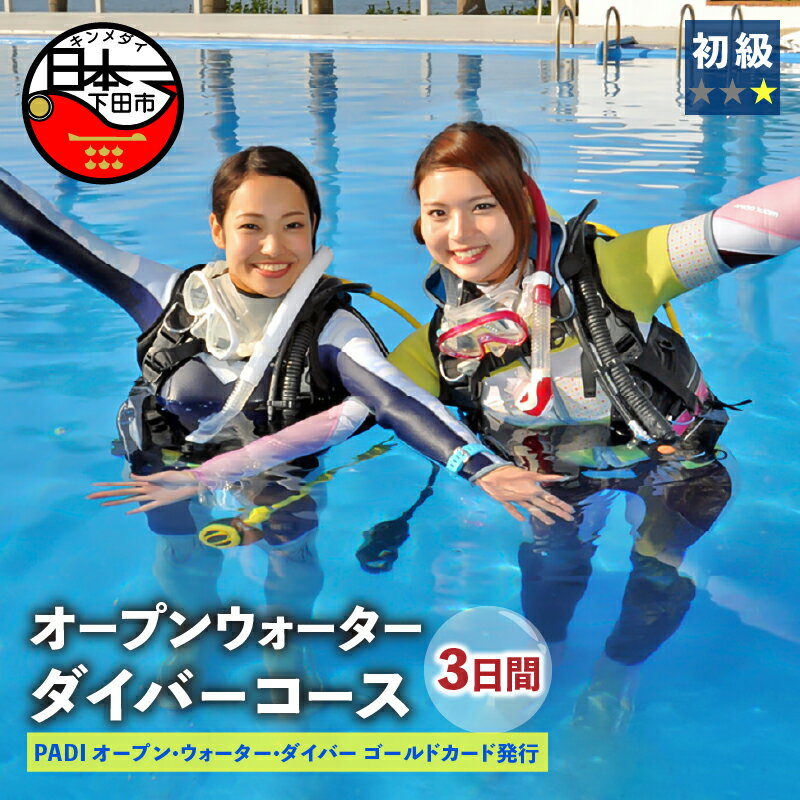 【ふるさと納税】 ダイビング 資格取得 PADI ゴールドカード 3日間 オープンウォーターダイバー コース ライセンス保持者 アウトドア スポーツ 海 アクティビティ マリンスポーツ レジャー 静岡 伊豆 下田 ドラゴンレディ