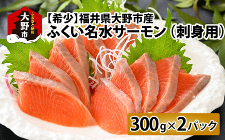 【希少】福井県大野市産 ふくい名水サーモン 600g（刺身用）真空冷凍 300g×2パック（皮なし・骨取り）[B-014006]