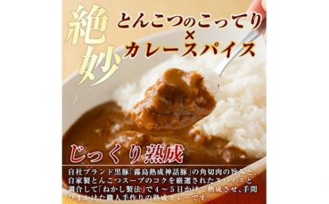 A-044 とんこつベースの霧島神話豚カレー5食入り！鹿児島黒豚のブランド豚「霧島神話豚」を使用した職人手作りの熟成レトルトカレー(160g×5袋)【富士食品】